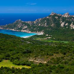 Corsica 138 homestays
