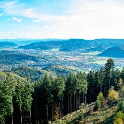 Black Forest 9 Glamping Sites