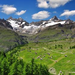 Swiss Alps 20 glamping sites