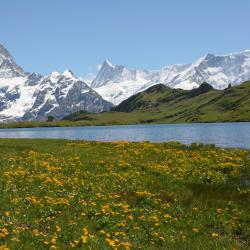 Bernese Oberland 57 guest houses