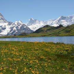 Bernese Oberland 224 4-star hotels