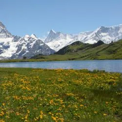 Bernese Oberland 18軒のビーチ周辺のバケーションレンタル