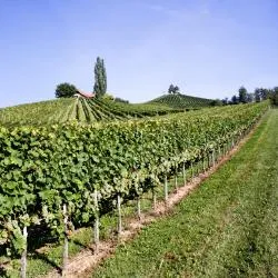Stájerország