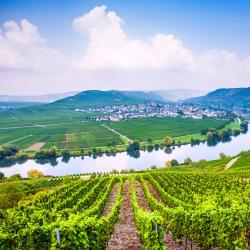 German Mosel