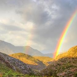 Ladismith