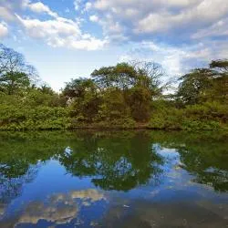 Guanacaste 590軒のバケーションレンタル