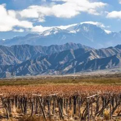 Mendoza Province