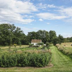 Midtjylland 4 farm stays
