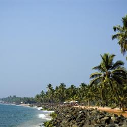 Kerala 556 resorts