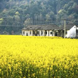 Jiangxi