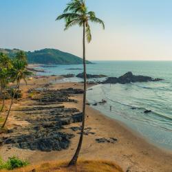 North Goa 313 B&Bs
