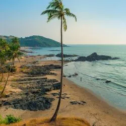 North Goa 239軒のリゾート