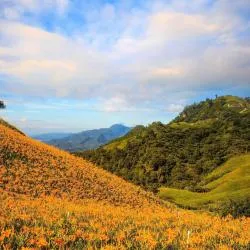 花蓮県 6軒のシャレー