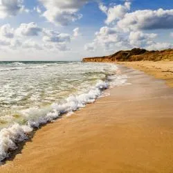 Black Sea Region Bulgaria 4154軒のビーチ周辺のバケーションレンタル
