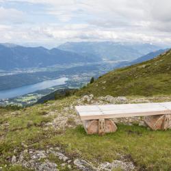 Millstätter See 311 hotels with parking