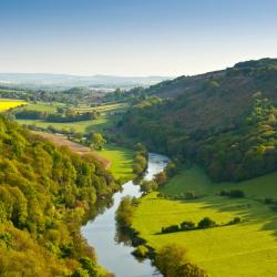 Forest of Dean