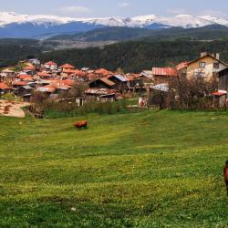 Rhodope Mountains 11 cabin