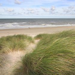 Nederlandse kust