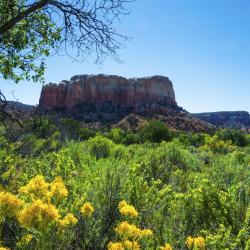 New Mexico