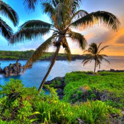 Maui