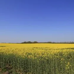 Sjælland og Øerne