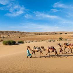 Rajasthan 1265 family hotels