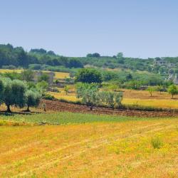 Valle d'Itria