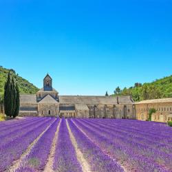 Provence 10 inns