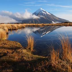 Taranaki 4 lodges