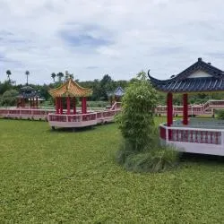 페를리스