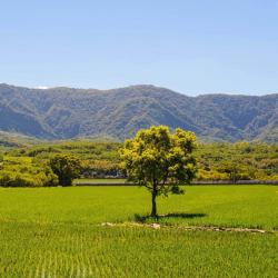 Taitung County 3 farm stays