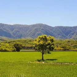 台東県 5軒のシャレー