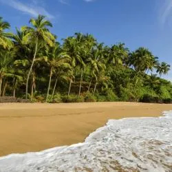 South Goa 128軒のリゾート