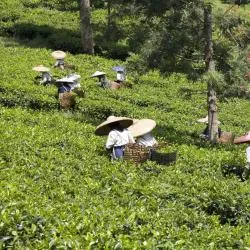 West Java 8 kapsulových hotelov