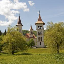 Suceava