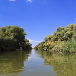 Danube Delta 6 campgrounds