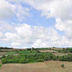 Vojvodina 1808 holiday rentals