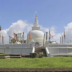 Anuradhapura District