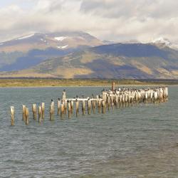 Magallanes