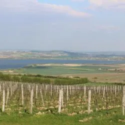 South Moravia 45軒のビーチ周辺のバケーションレンタル