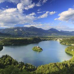 Bled Region