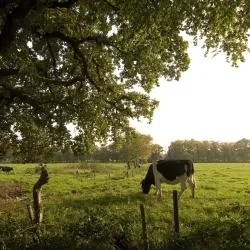 Groningen Province