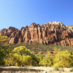 Zion National Park  4 Best Western hotels