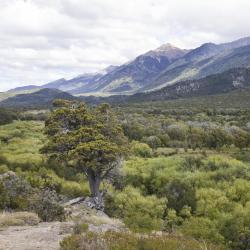 Chubut 309 ski resort