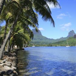 Moorea