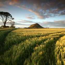 Lothian