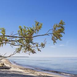 Fischland-Darß-Zingst 1023 hytter