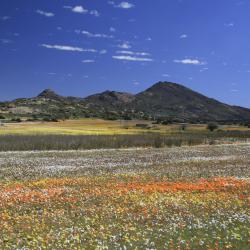 Northern Cape