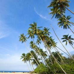 Terengganu 756 vacation rentals