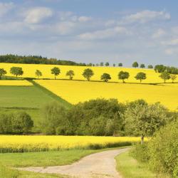 Taunus